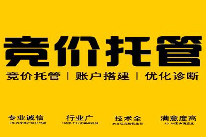 案例解析：SEM广告创意与效果评估